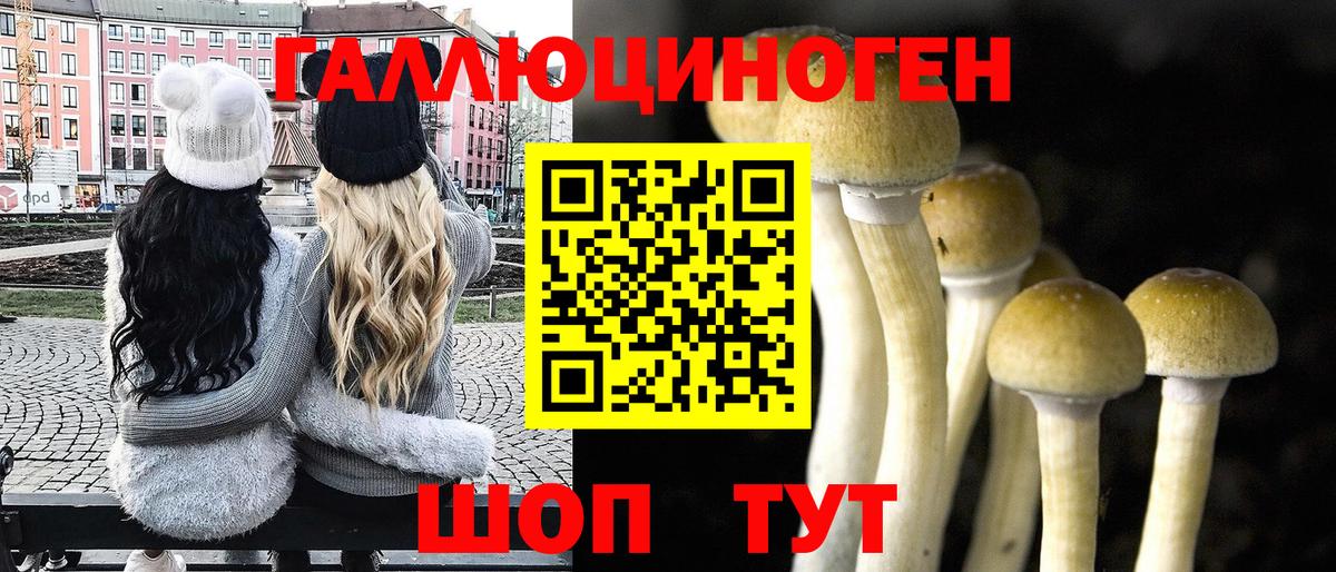Кохма  Псилоцибиновые грибы мухоморы  Галлюциногенные грибы прущие грибы  Вход с VPN 