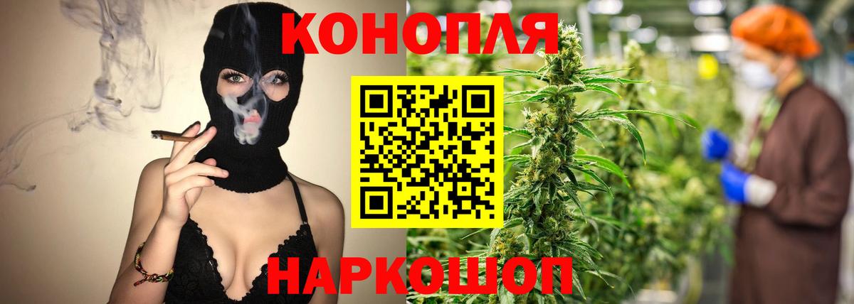 Каннабис конопля Кохма